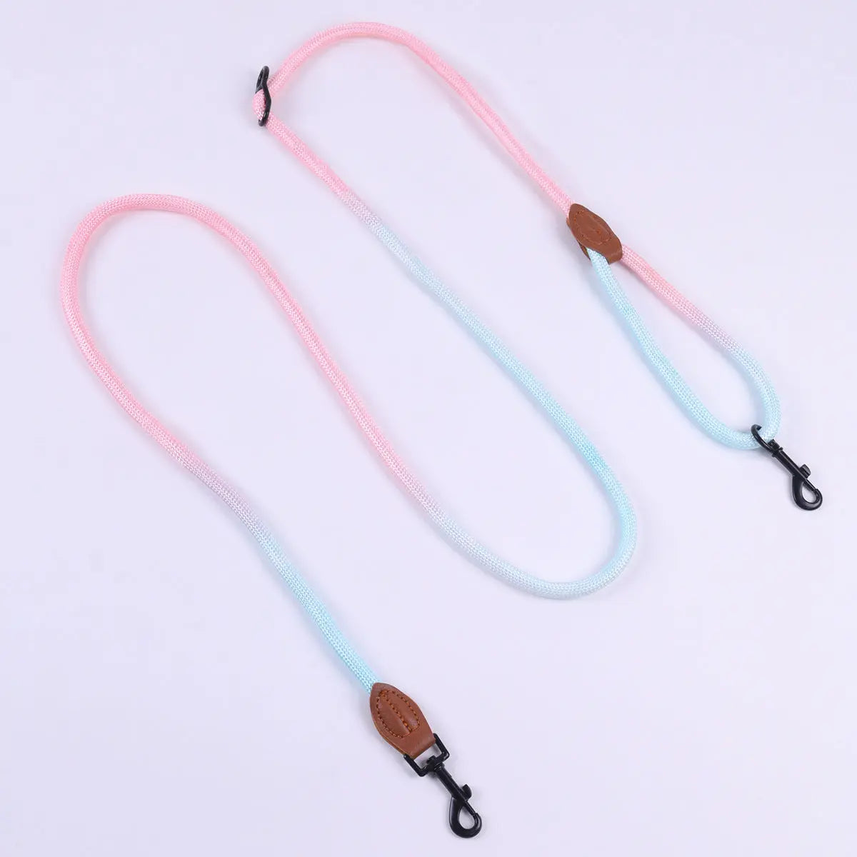 Vibrant Dog Leash Pawfect Paws