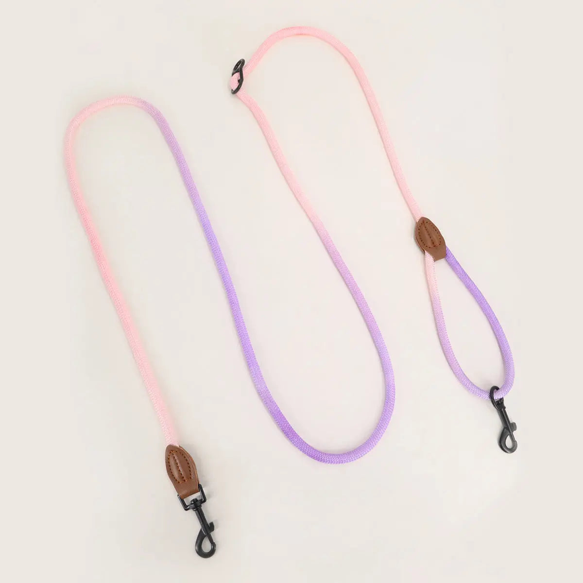 Vibrant Dog Leash Pawfect Paws