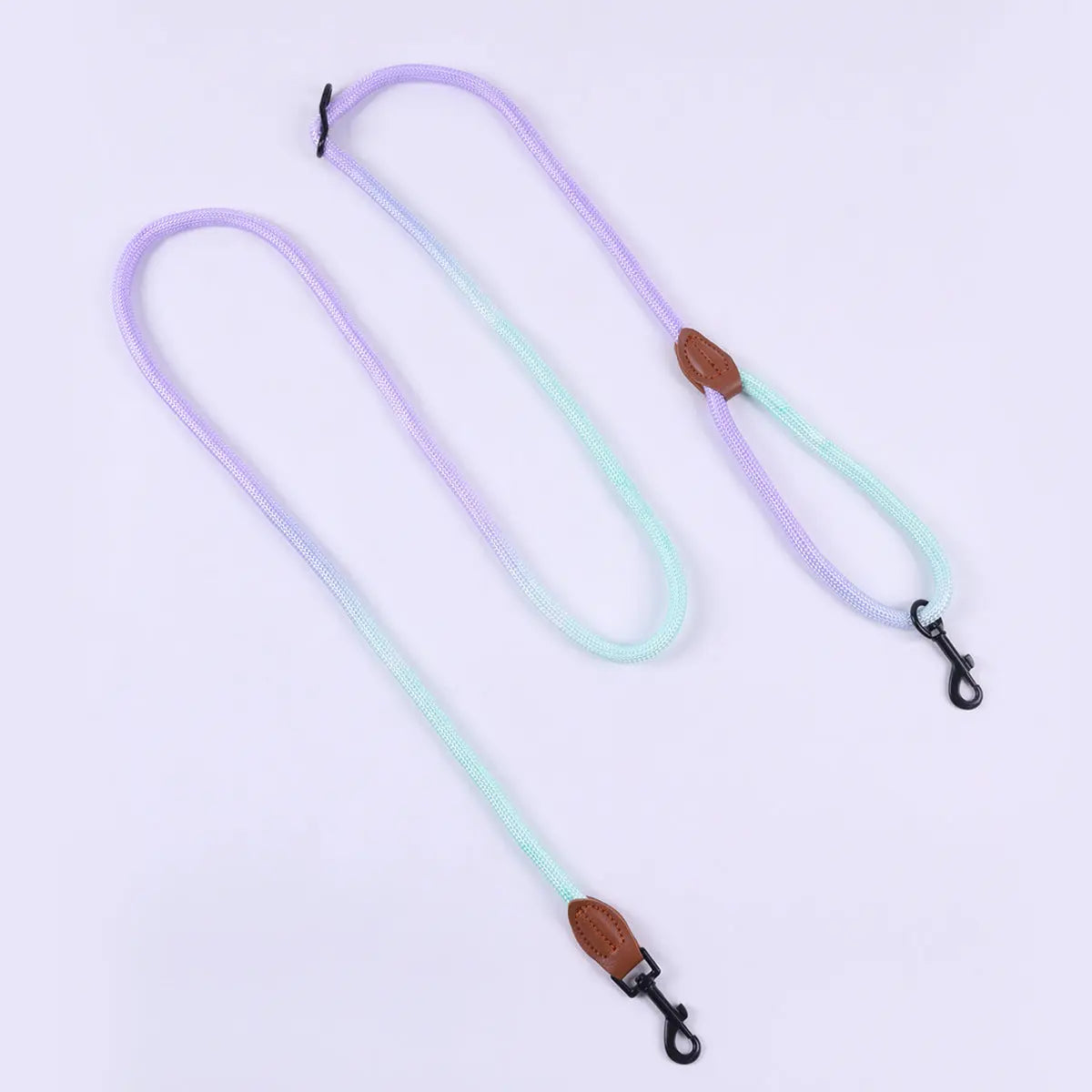 Vibrant Dog Leash Pawfect Paws