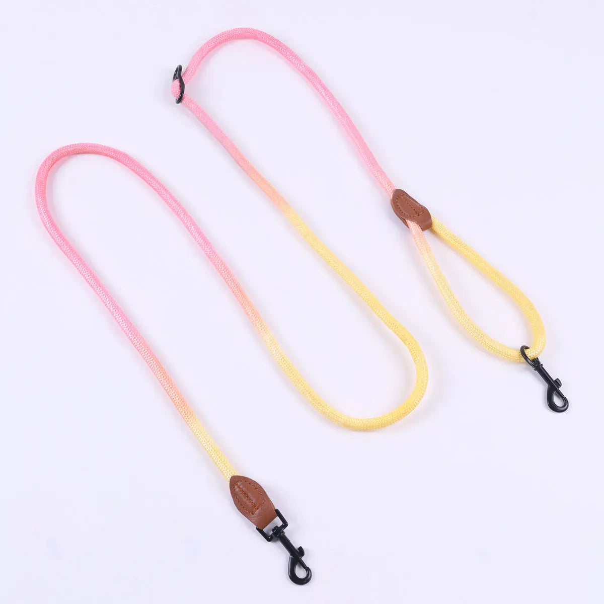 Vibrant Dog Leash Pawfect Paws