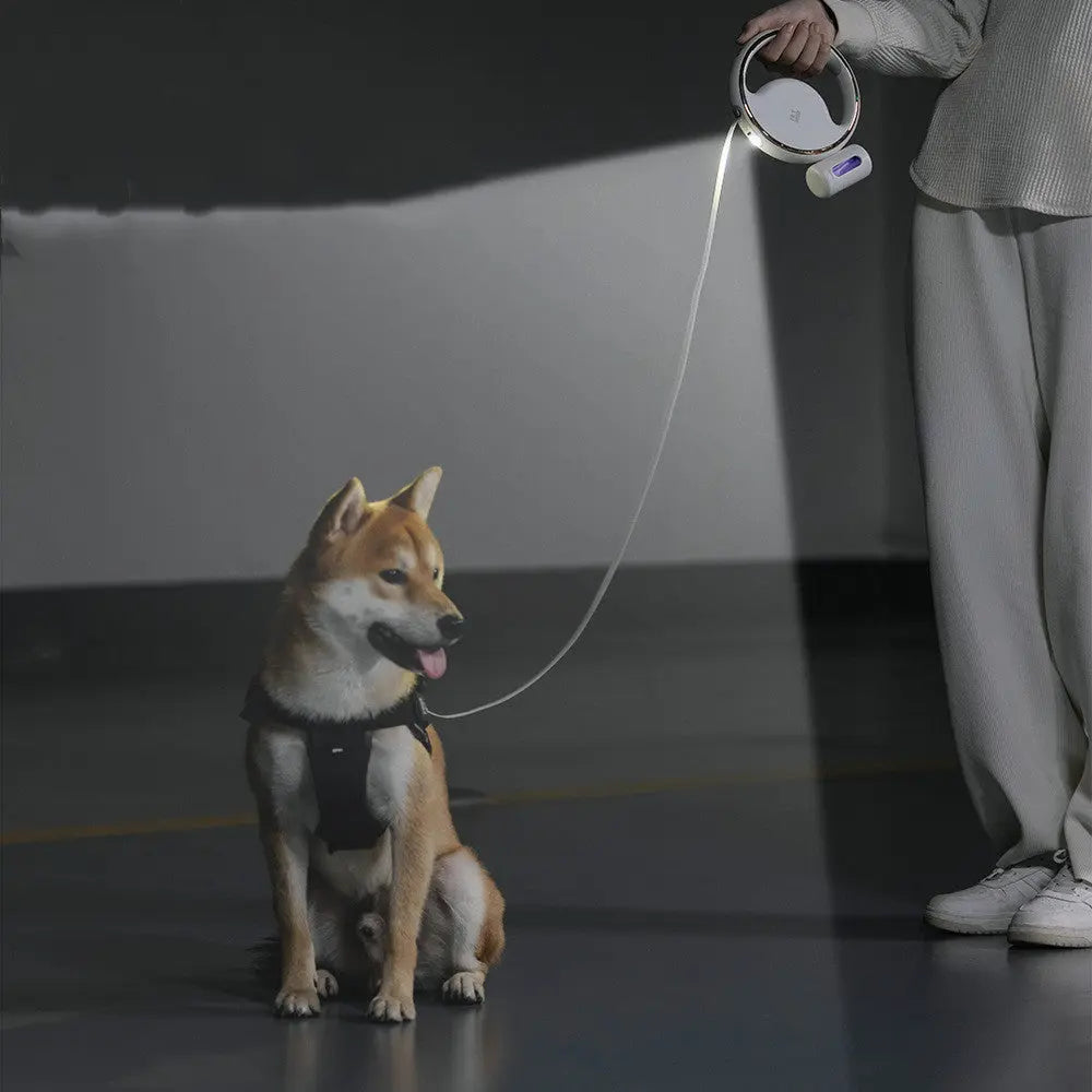"BrightPaws" - The Dog Leash that Lights Up Your Nighttime Adventures Pawfect Paws