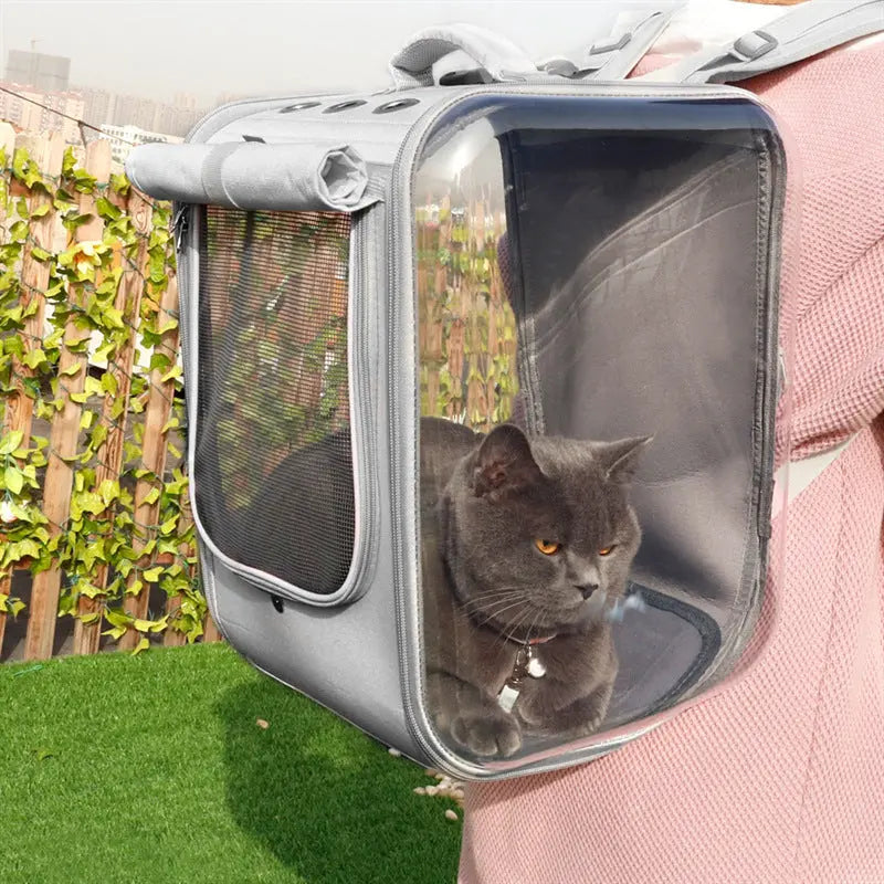 Cat Backpack Pawfect Paws