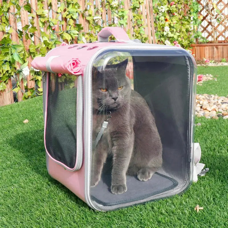 Cat Backpack Pawfect Paws