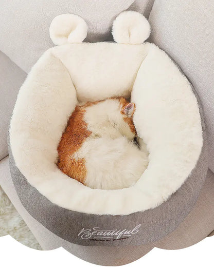 Cat Bed Pawfect Paws