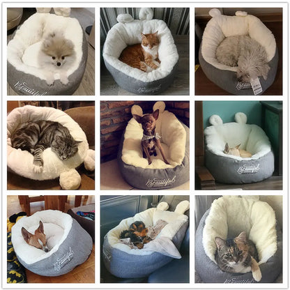Cat Bed Pawfect Paws