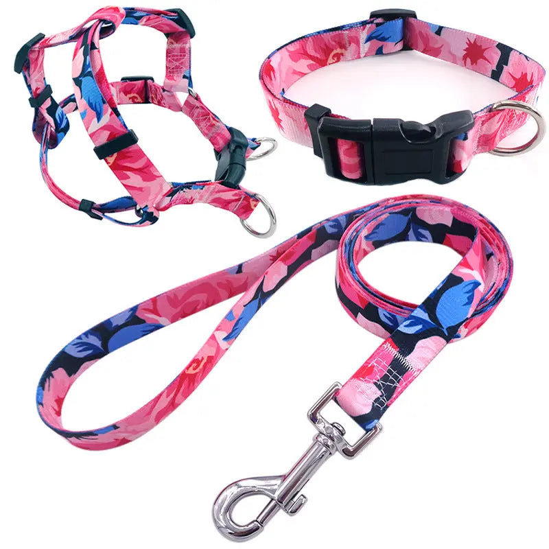 Dog Collar Bundle Pawfect Paws