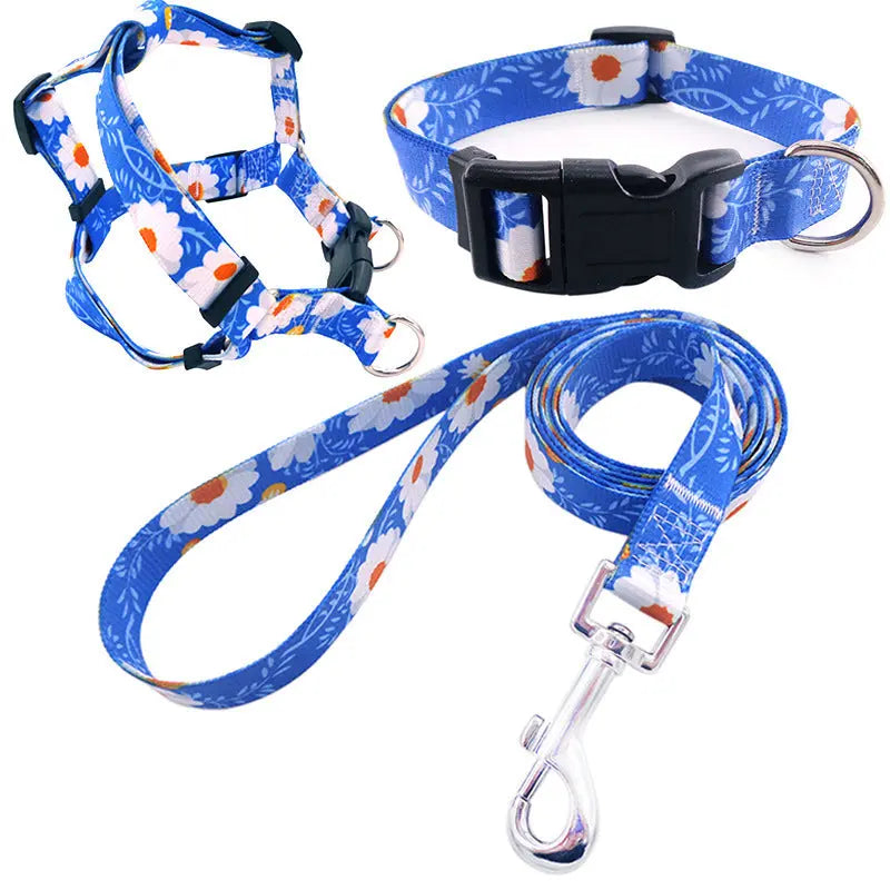 Dog Collar Bundle Pawfect Paws