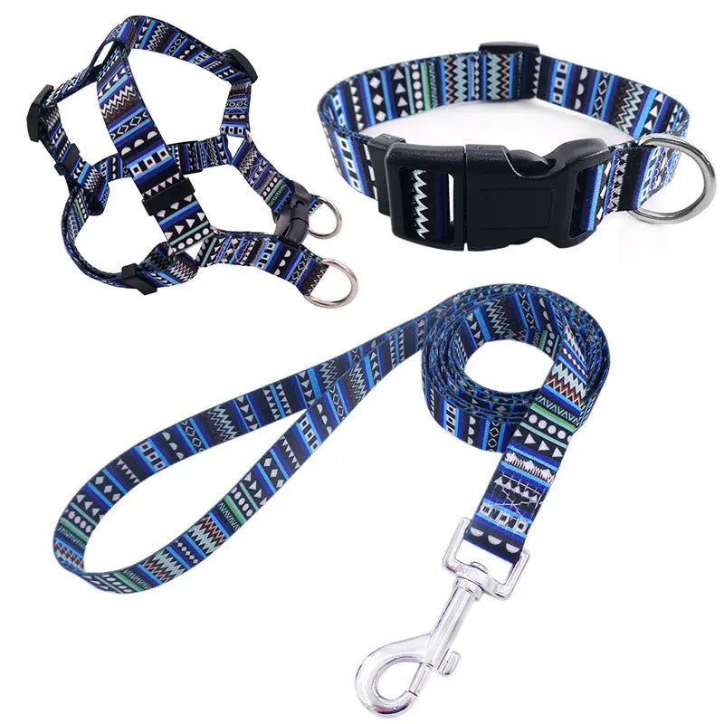 Dog Collar Bundle Pawfect Paws