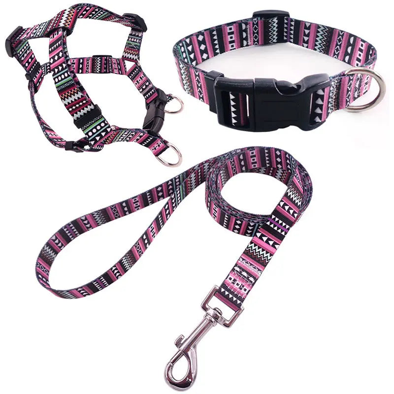 Dog Collar Bundle Pawfect Paws