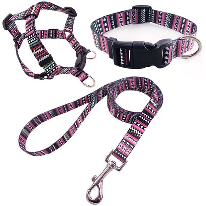 Dog Collar Bundle Pawfect Paws