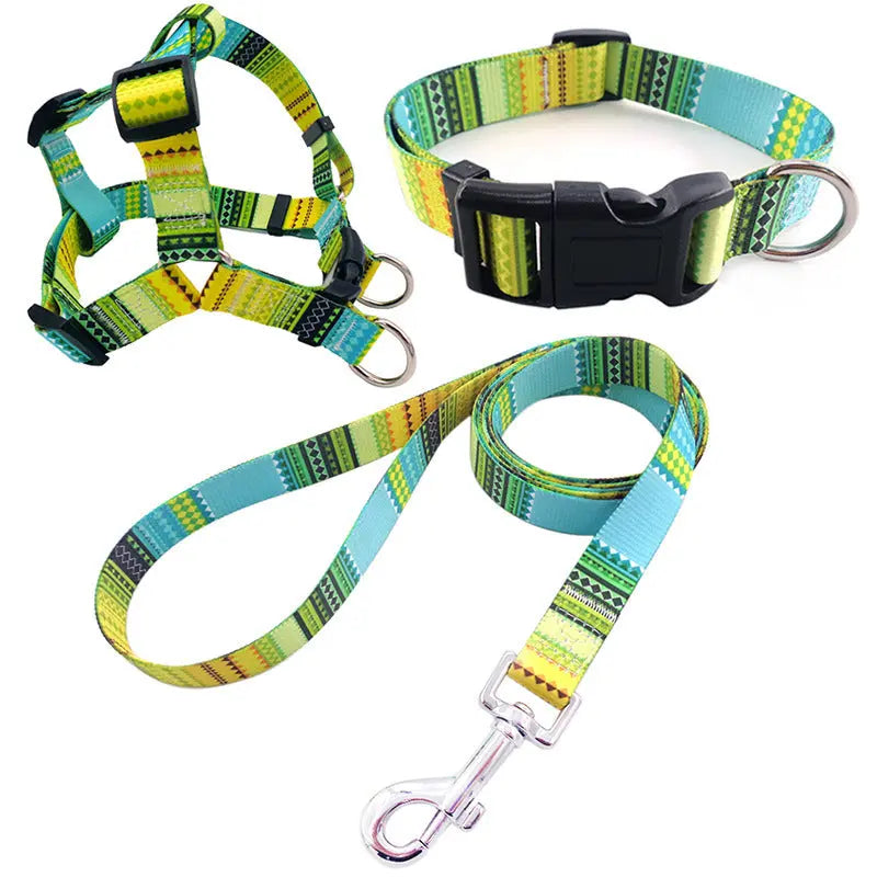 Dog Collar Bundle Pawfect Paws