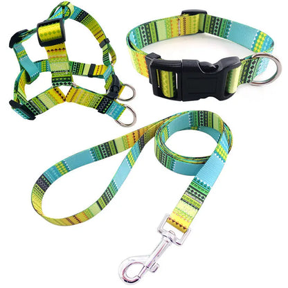 Dog Collar Bundle Pawfect Paws