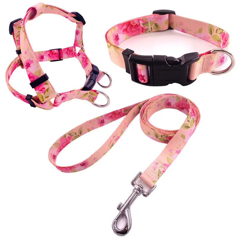 Dog Collar Bundle Pawfect Paws