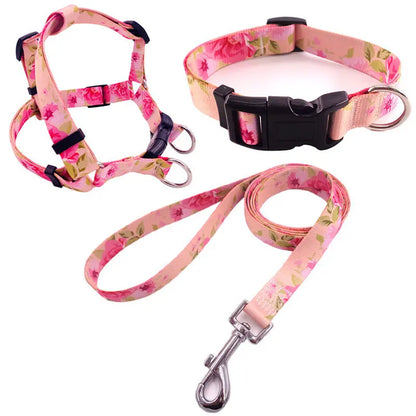 Dog Collar Bundle Pawfect Paws