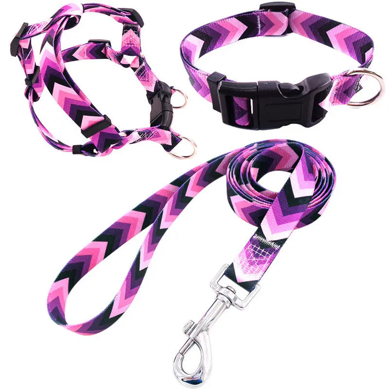 Dog Collar Bundle Pawfect Paws