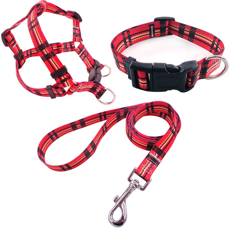 Dog Collar Bundle Pawfect Paws