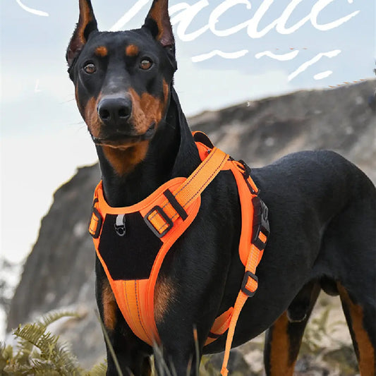 Dog Harness Pawfect Paws