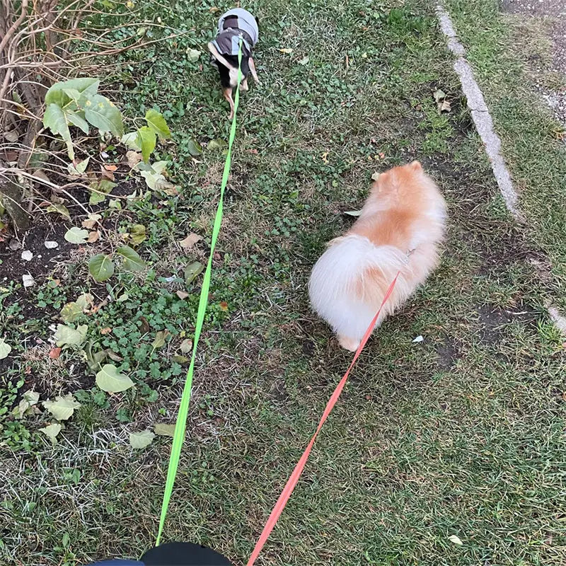 Dual Dog Leash Pawfect Paws