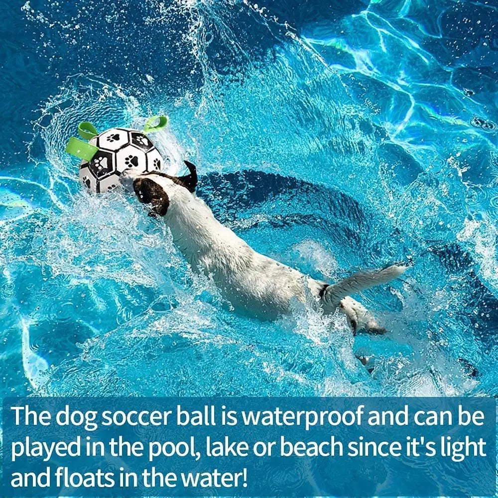 Interactive Dog Toy Pawfect Paws