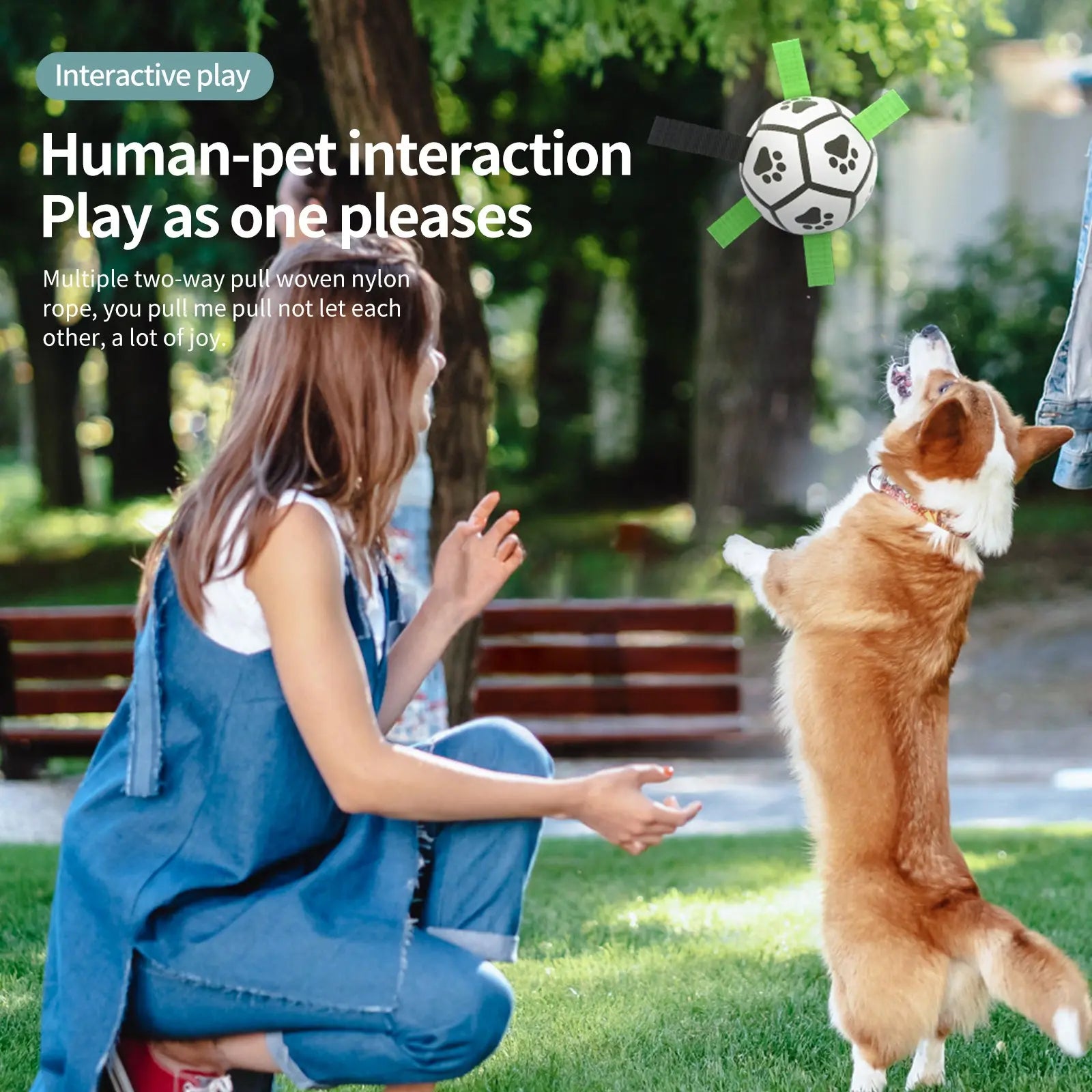 Interactive Dog Toy Pawfect Paws