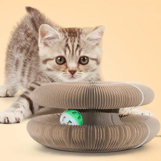 "Pawfect" - Cat Toy Pawfect Paws