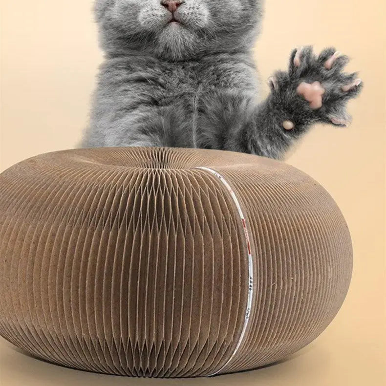 "Pawfect" - Cat Toy Pawfect Paws
