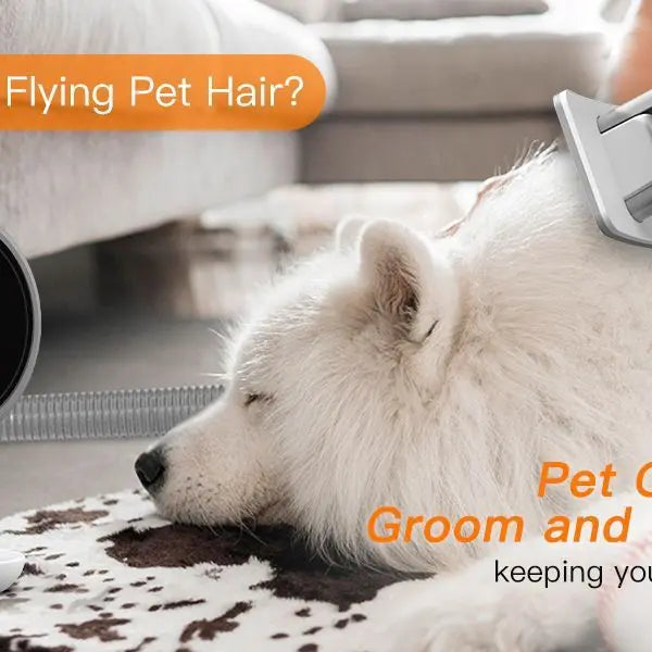 Pet Hair Conditioner & Cleaning – Essential Dog Grooming Kit Pawfect Paws