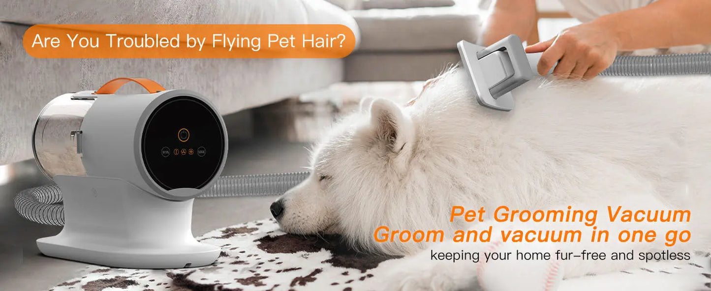 Pet Hair Conditioner & Cleaning – Essential Dog Grooming Kit Pawfect Paws