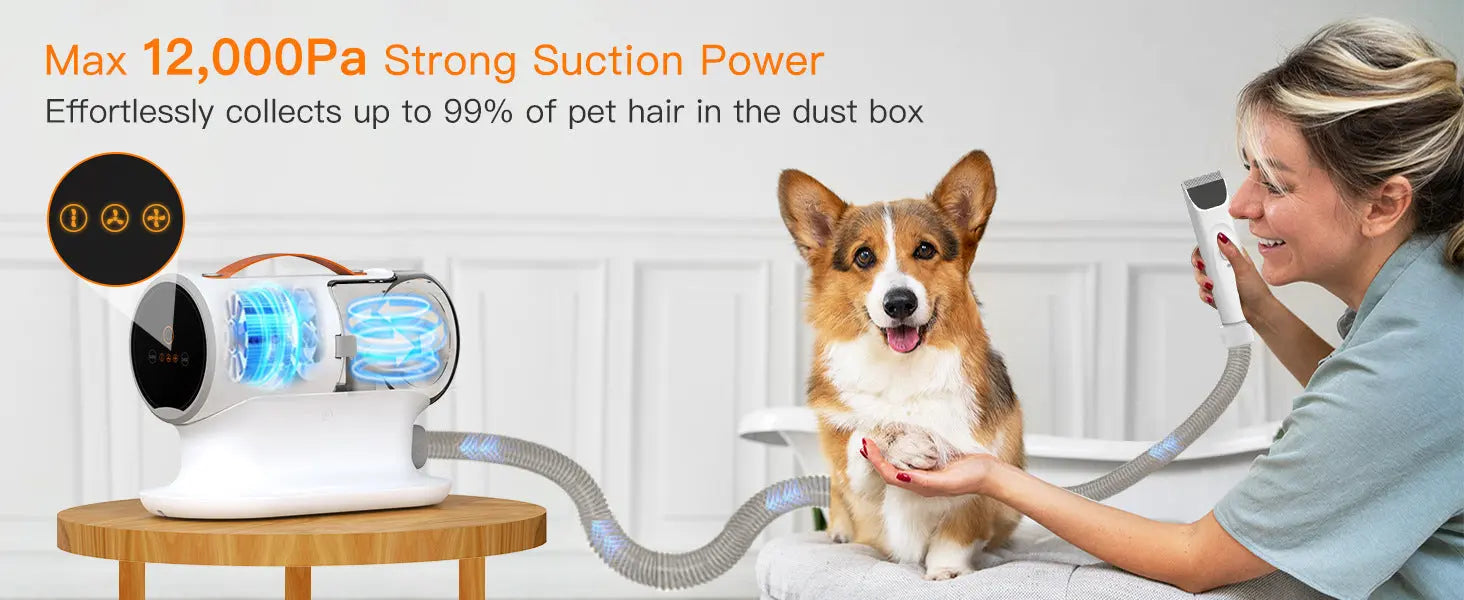 Pet Hair Conditioner & Cleaning – Essential Dog Grooming Kit Pawfect Paws