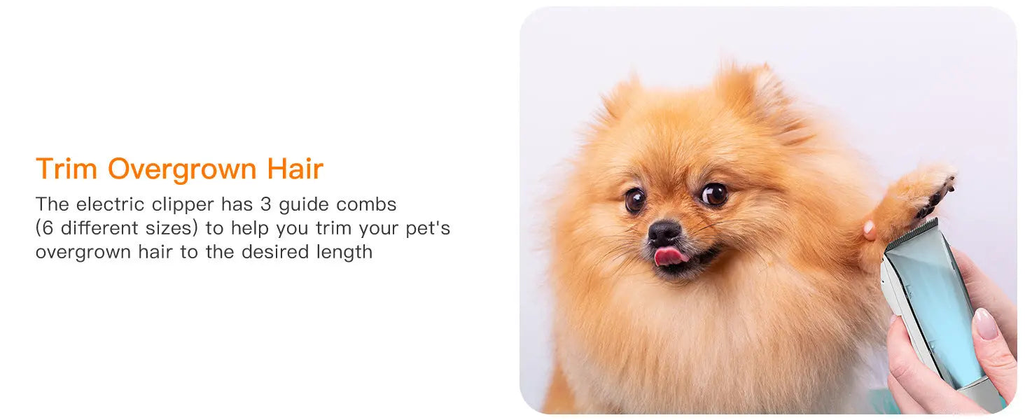 Pet Hair Conditioner & Cleaning – Essential Dog Grooming Kit Pawfect Paws