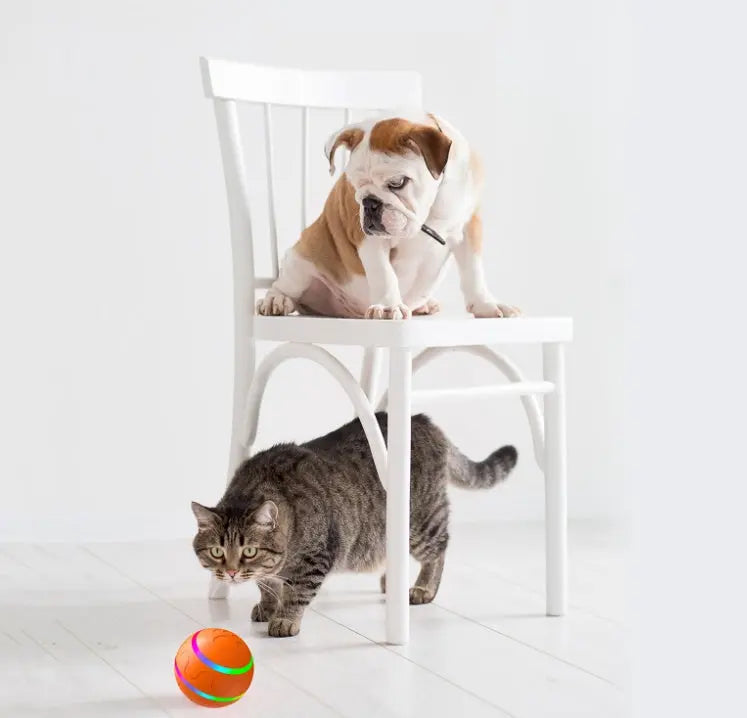 "SupawBall" - Dog Toy Pawfect Paws