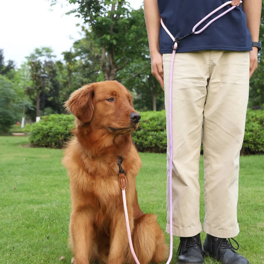 Vibrant Dog Leash Pawfect Paws