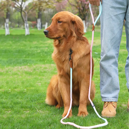 Vibrant Dog Leash Pawfect Paws
