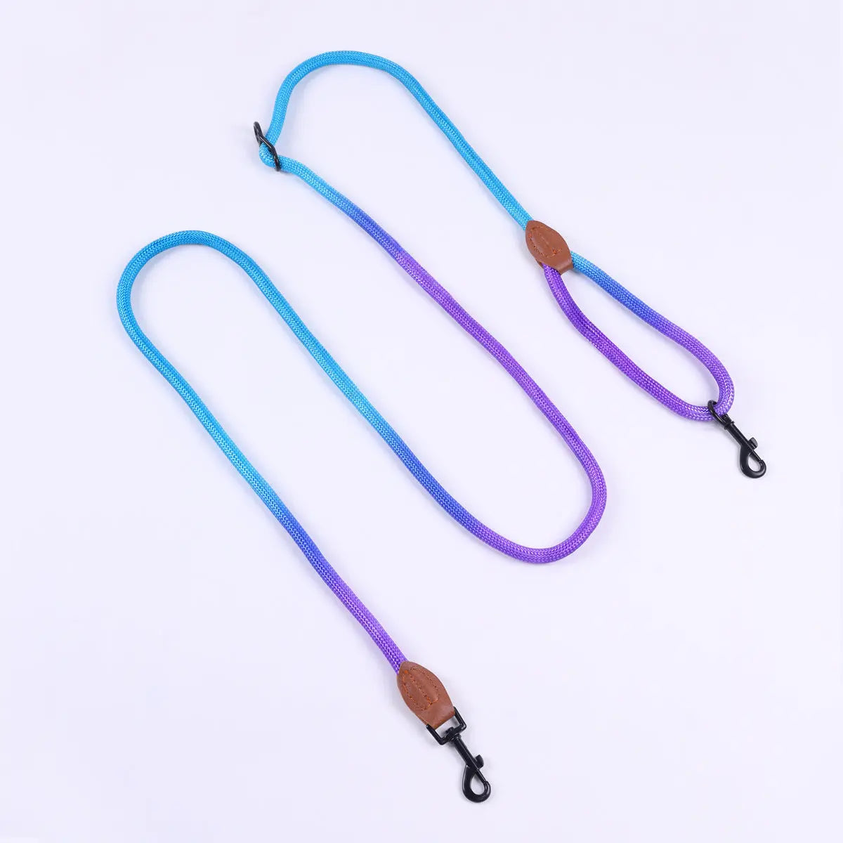 Vibrant Dog Leash Pawfect Paws