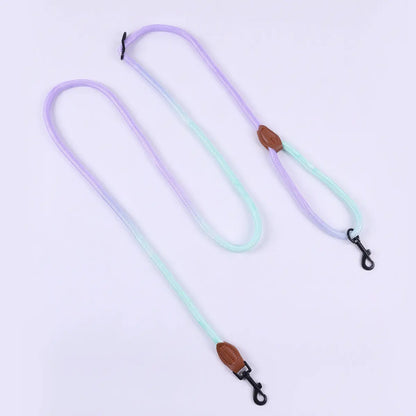 Vibrant Dog Leash Pawfect Paws