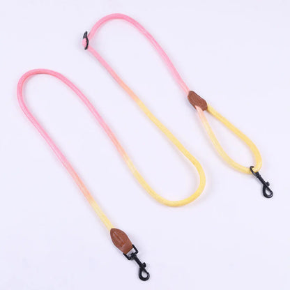 Vibrant Dog Leash Pawfect Paws