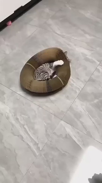 "Pawfect" - Cat Toy